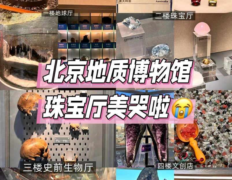 中国地质博物馆 - 北京市旅游 1