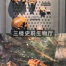 中国地质博物馆 - 北京市旅游 缩略图 6