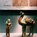 洛阳博物馆 - 洛阳市旅游 缩略图 7