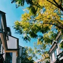 双廊古镇 - 大理白族自治州旅游 缩略图 5