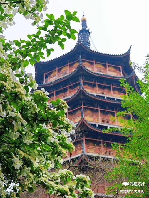 北寺塔 - 苏州市旅游