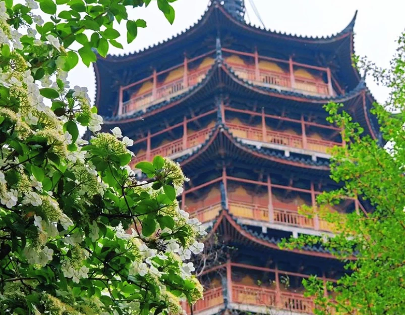 北寺塔 - 苏州市旅游 1