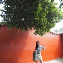 开元寺景区 - 泉州市旅游 缩略图 2