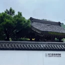东方艺术博物馆 - 宁波市旅游 缩略图 7