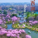 蜀冈瘦西湖风景名胜区 - 扬州市旅游 缩略图 1
