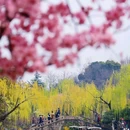 蜀冈瘦西湖风景名胜区 - 扬州市旅游 缩略图 9