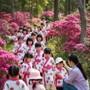 成都旅游 缩略图 3