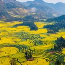 毕节旅游 缩略图 7