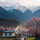 林芝旅游 缩略图 5