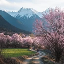 林芝旅游 缩略图 7