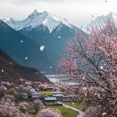 林芝旅游 缩略图 6
