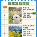 毕节旅游 缩略图 2