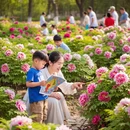 菏泽旅游 缩略图 4
