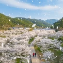 潍坊旅游 缩略图 6