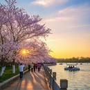 潍坊旅游 缩略图 7