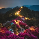 云浮旅游 缩略图 3