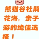 成都旅游 缩略图 1