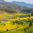 丽水旅游 缩略图 6