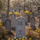 开封旅游 缩略图 4