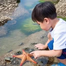 北海旅游 缩略图 6