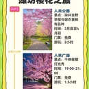 潍坊旅游 缩略图 1