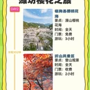 潍坊旅游 缩略图 2