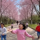成都旅游 缩略图 4