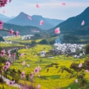 上饶旅游 缩略图 4
