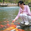 济南旅游 缩略图 2