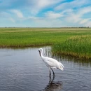 沈阳旅游 缩略图 2