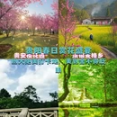 贵阳旅游 缩略图 1