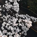 河滨公园 - 贵阳市旅游 缩略图 7