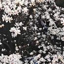 河滨公园 - 贵阳市旅游 缩略图 2