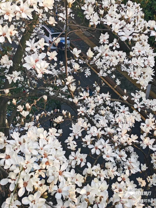 河滨公园 - 贵阳市旅游