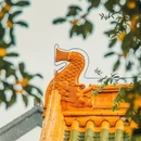 泰安溪美隐居酒店(泰山岱庙店) - 泰安市旅游 缩略图 7