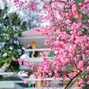 合肥环城公园 - 合肥市旅游 缩略图 2