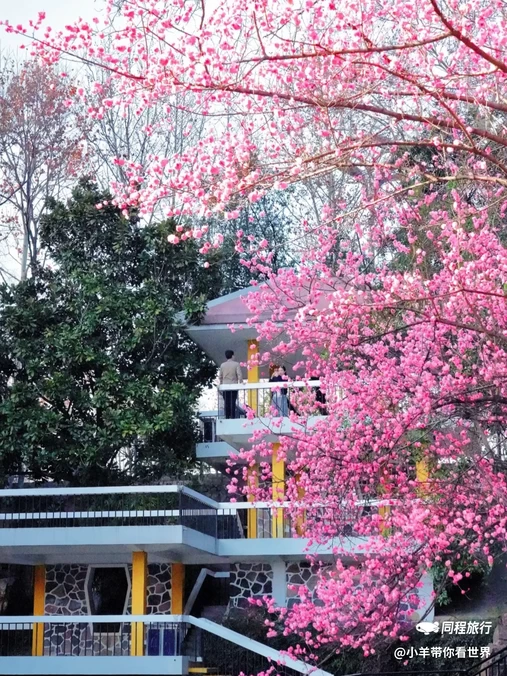 合肥环城公园 - 合肥市旅游