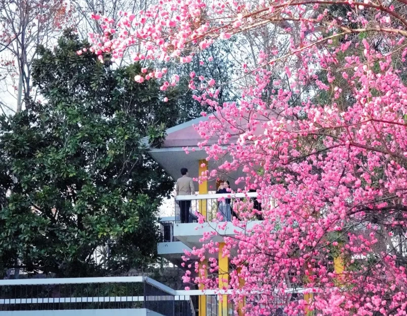 合肥环城公园 - 合肥市旅游 1