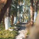 合肥环城公园 - 合肥市旅游 缩略图 4