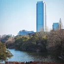 合肥环城公园 - 合肥市旅游 缩略图 7