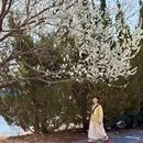 钻石湾滨海公园 - 大连市旅游 缩略图 5