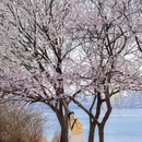 钻石湾滨海公园 - 大连市旅游 缩略图 1