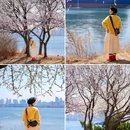 钻石湾滨海公园 - 大连市旅游 缩略图 8