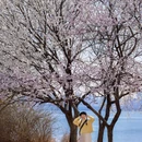 钻石湾滨海公园 - 大连市旅游 缩略图 6