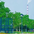 大房郢公园 - 合肥市旅游 缩略图 5
