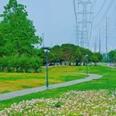 大房郢公园 - 合肥市旅游 缩略图 3