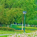 大房郢公园 - 合肥市旅游 缩略图 1