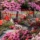 苏州天平山风景名胜区 - 苏州市旅游 缩略图 5