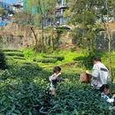 翁家山村 - 杭州市旅游 缩略图 2