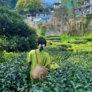 翁家山村 - 杭州市旅游 缩略图 3